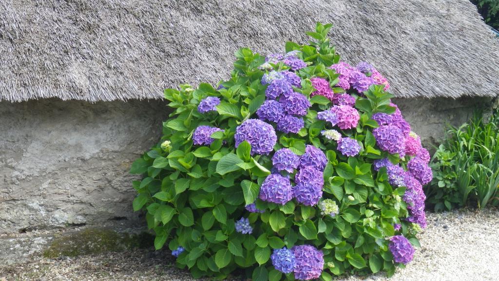 La Musardise Bed & Breakfast Guérande Dış mekan fotoğraf
