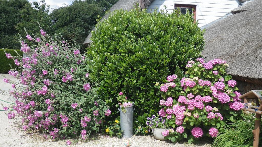 La Musardise Bed & Breakfast Guérande Dış mekan fotoğraf